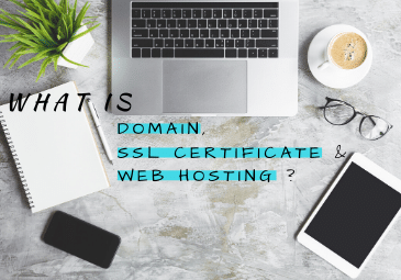 What is Domain