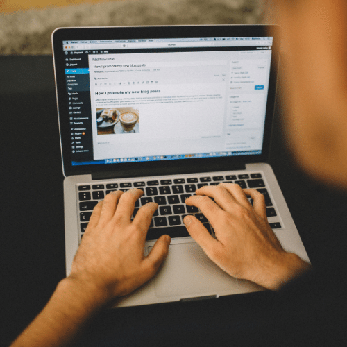 Wordpress Backend