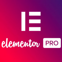 Elementor PRO Page Builder